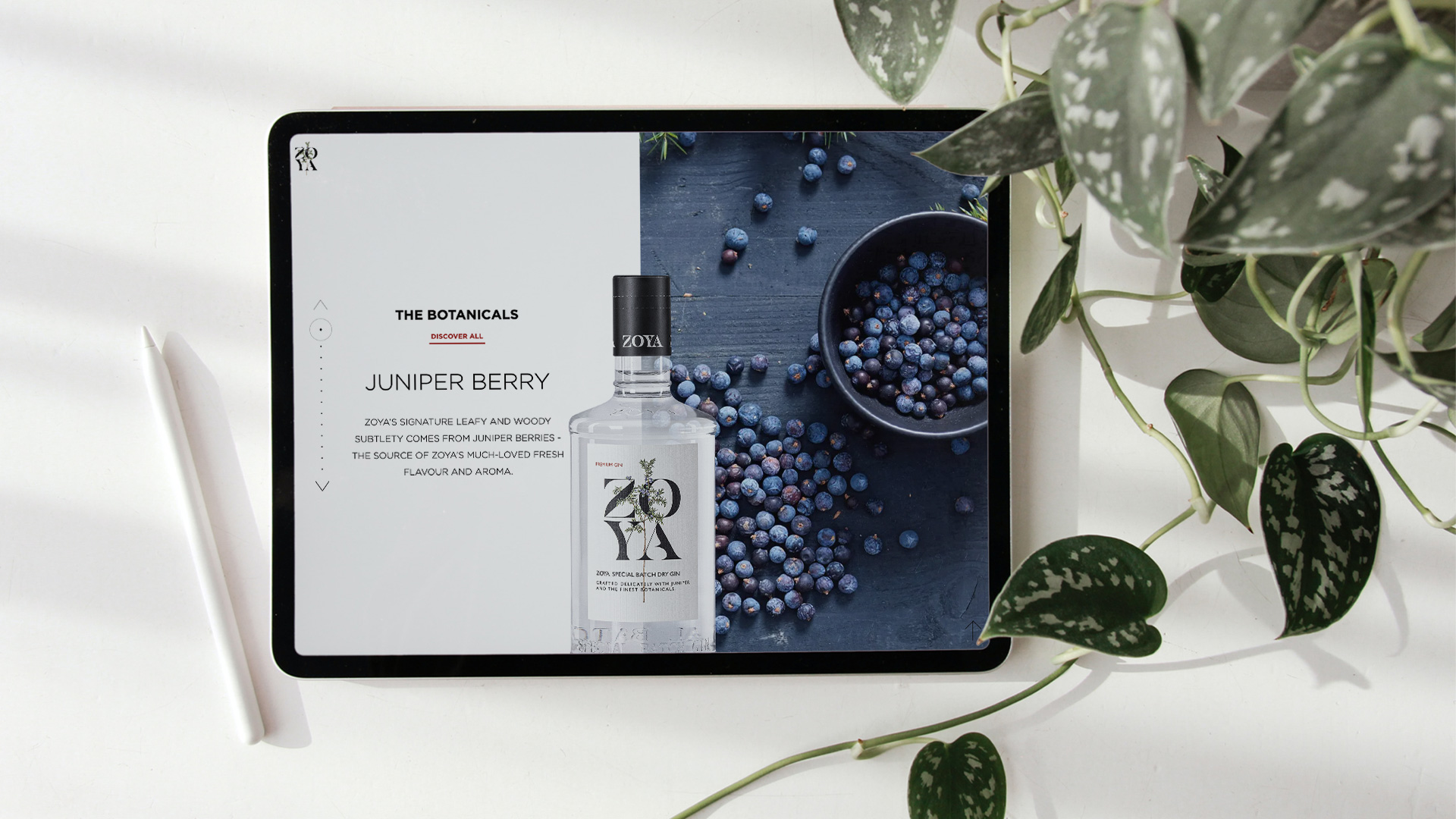 Zoya Gin: Crafting Elegance Online