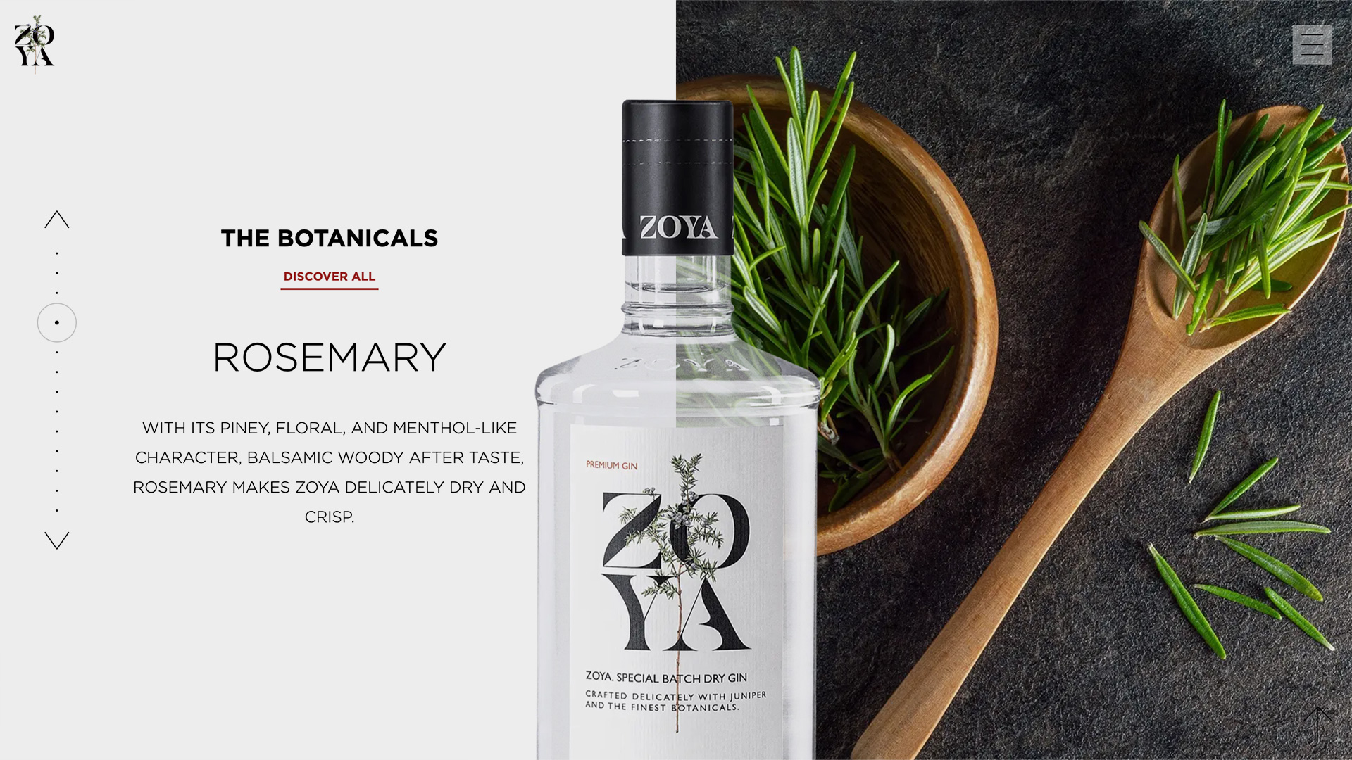 zoya-gin-website-screens-04-img.jpg