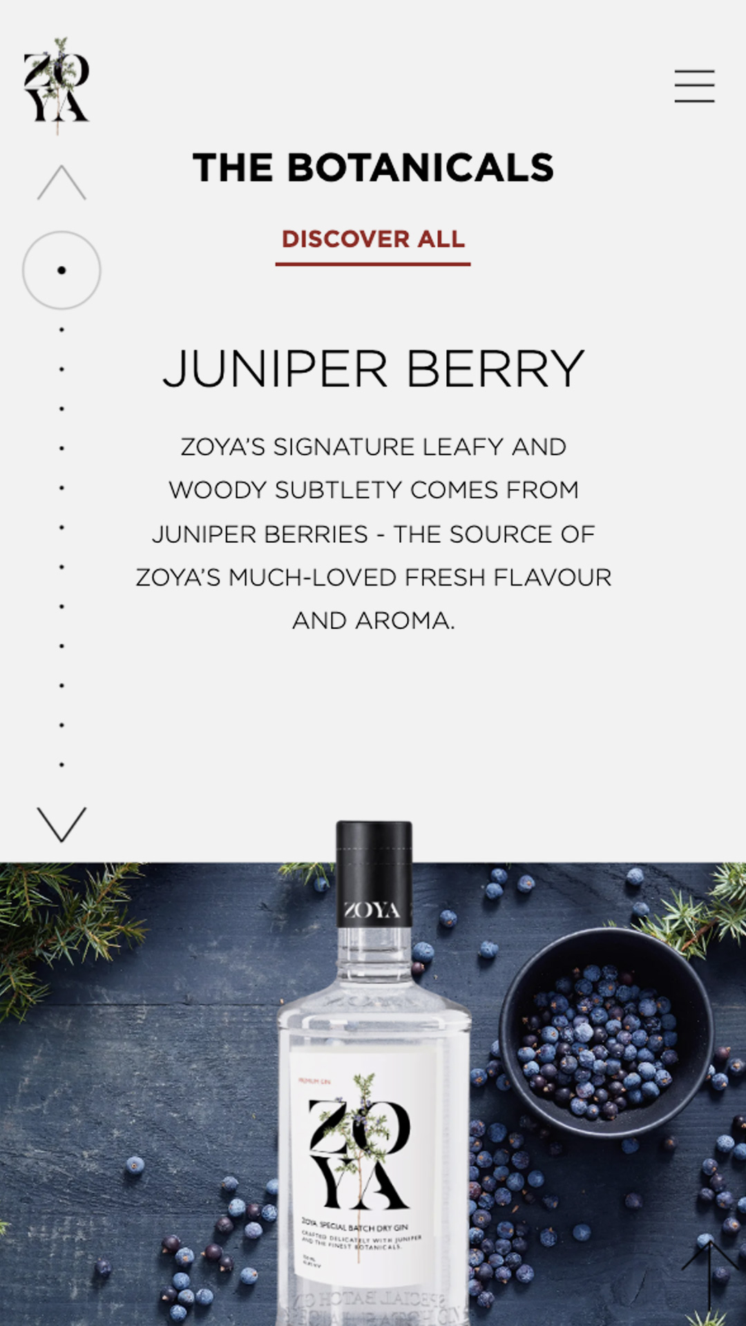 zoya-gin-website-screens-05-img.jpg